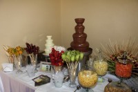 /album/galeria-de-fotos-casamento-de-juliana-nicolas/j-n-1653-jpg1/